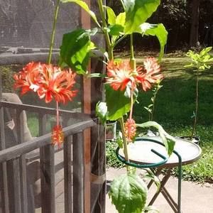 Meet your Posher, Karen